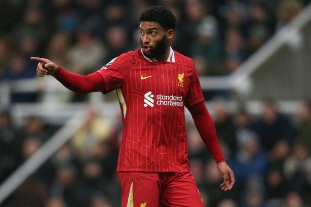 以来努力追 以来努力追